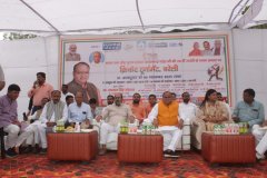 anushka-trust-cricket-10