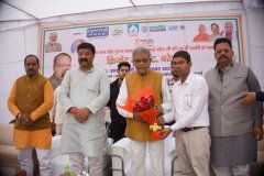 anushka-trust-cricket-9